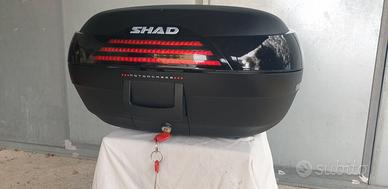 BAULETTO MOTO SHAD 46