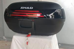 BAULETTO MOTO SHAD 46