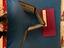 Immagine 5