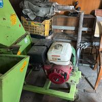 Biotrituratore Peruzzo t/3 b & s benzina