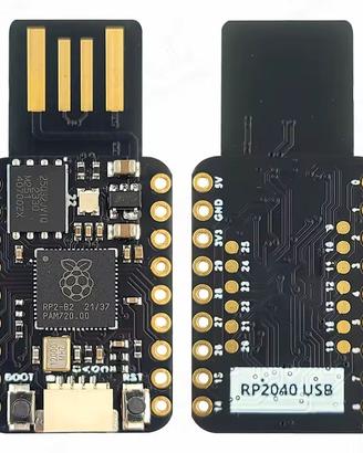 Modulo Raspberry USB RP2040 – Domotica