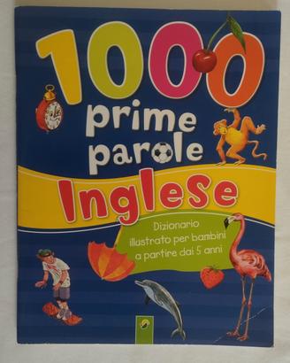 Dizionario illustrato Inglese 