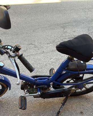 Bici a pedala assistita motorizzata