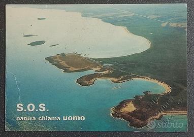 Cartolina Torre Guaceto Brindisi giornata ecologic