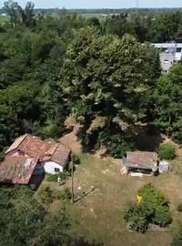 Terreno edificabile  in periferia vigevano