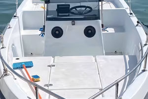 Trinacria shark 20