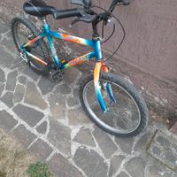 BICICLETTA GRANDEZZA 20"