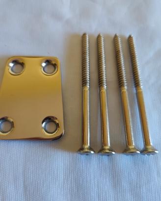Placca chitarra Eko