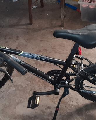bicicletta 