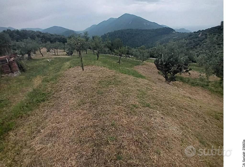 Immobile in asta di 5924 m² a Norma - Vista 3