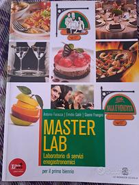 master lab
