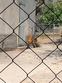 Bici cross harley davidson