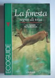 LA FORESTA REGNO DI VITA