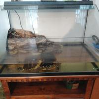 Acquario più due tartarughe