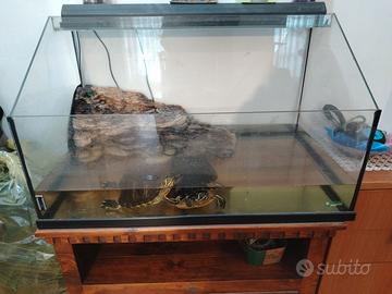 Acquario più due tartarughe