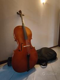 Violoncello 4/4 Eastman Strings