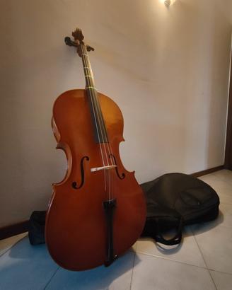 Violoncello 4/4 Eastman Strings