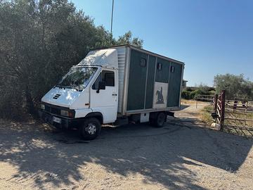 Trasporto cavalli