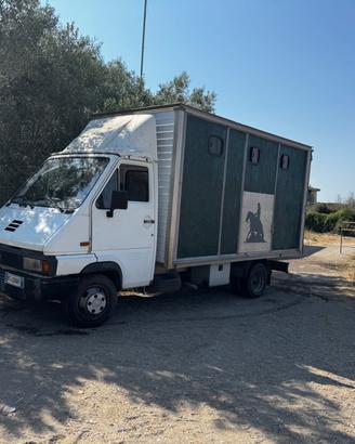 Trasporto cavalli