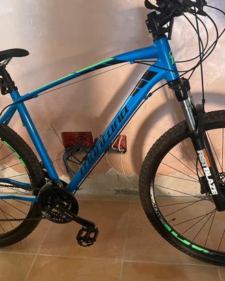 Bicicletta uomo