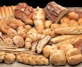 Panetteria Pasticceria Salumeria 200-105A