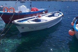 Gozzo in legno entrobordo diesel 40 CV