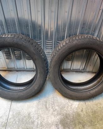 Gomme nokian neve 205 55 r16