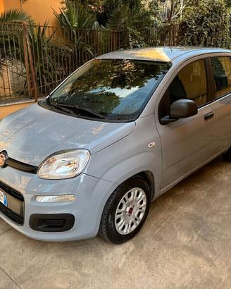 Fiat Panda 1.0 Hybrid - 2021 - PERMUTE