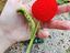 Immagine 6