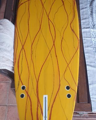 tavola surf Dr. Ank