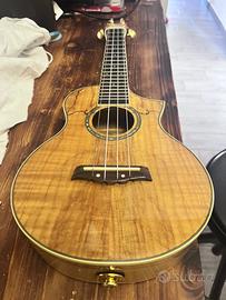 ukulele ibanez