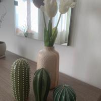 Set di 3 cactus in ceramica