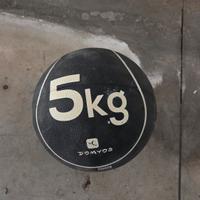Palla medica Domyos da 5 kg