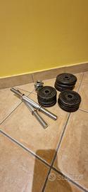 manubri da 10 kg