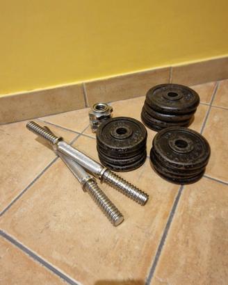 manubri da 10 kg