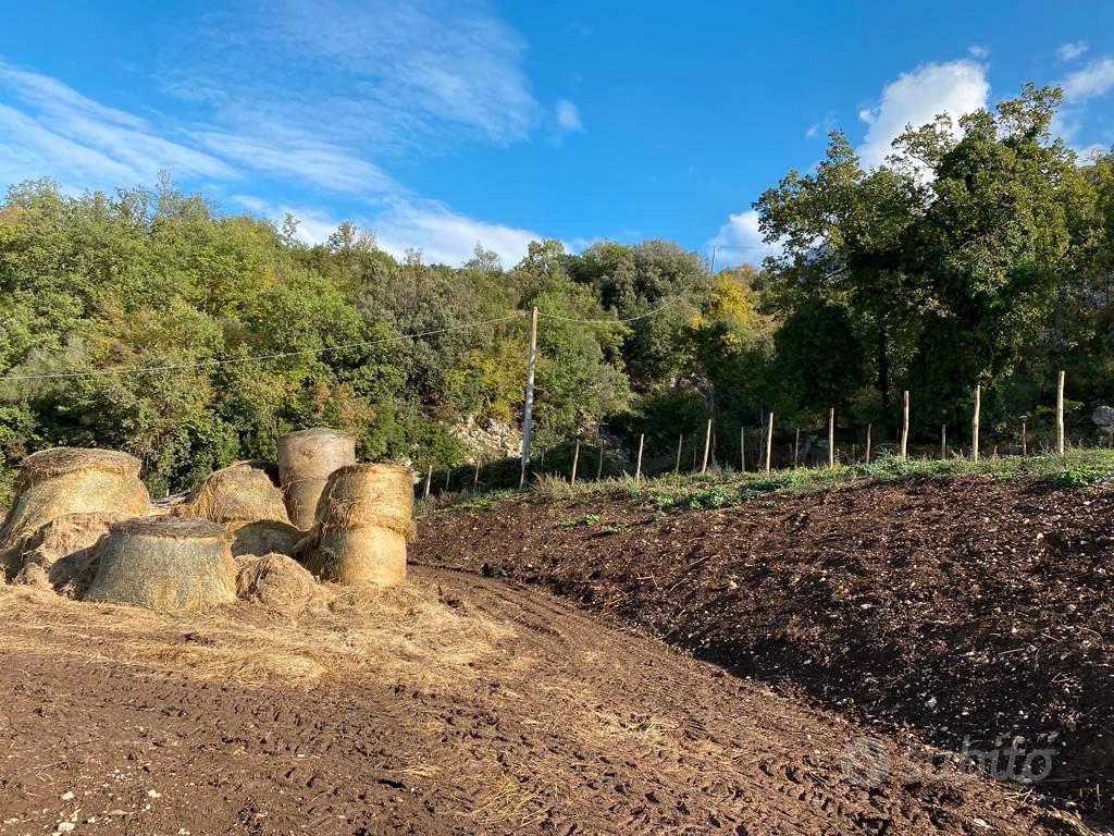 Azienda agricola Postiglione - Vista 4