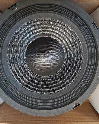 Subwoofer da 16 e 20cm