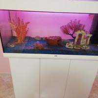 Acquario 200lt 