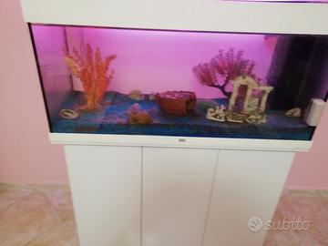 Acquario 200lt 