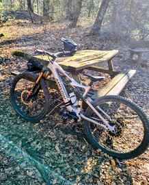 Amflow PL Carbon 2026 tg. L