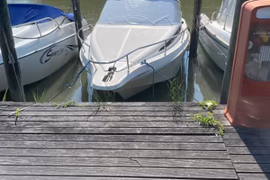 RIO 650 Cruiser