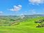 Immagine 19