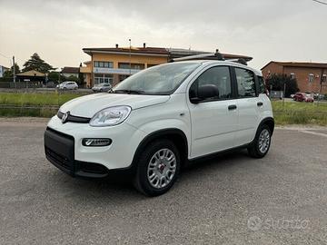 Fiat Panda 1.2 Gpl km0 iva esposta neopatentati