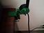 Immagine 4