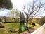 Immagine 16