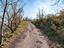 Immagine 28