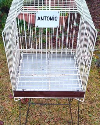 Gabbia con trespoli e vassoio INOX