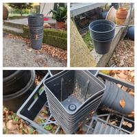 VASI IN PLASTICA RESISTENTE DA VIVAIO
