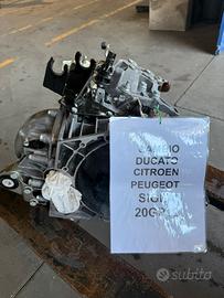 Cambio Ducato /jumper /Boxer  (20GP19)