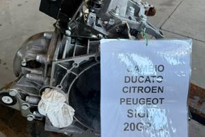 Cambio Ducato /jumper /Boxer  (20GP19)